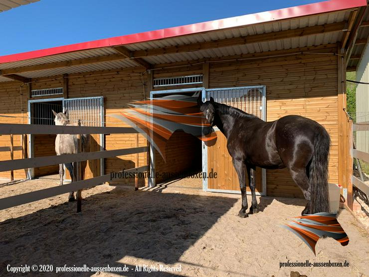 Bild 14: Pferdestall bauen, Aussenboxen, Pferdeboxen, Innenboxen, Stallungen, Stallanlagen, Weidehütte, Pferdeunterstand, Weideunterstand, Offenstall, Unterstand Fressgitter,