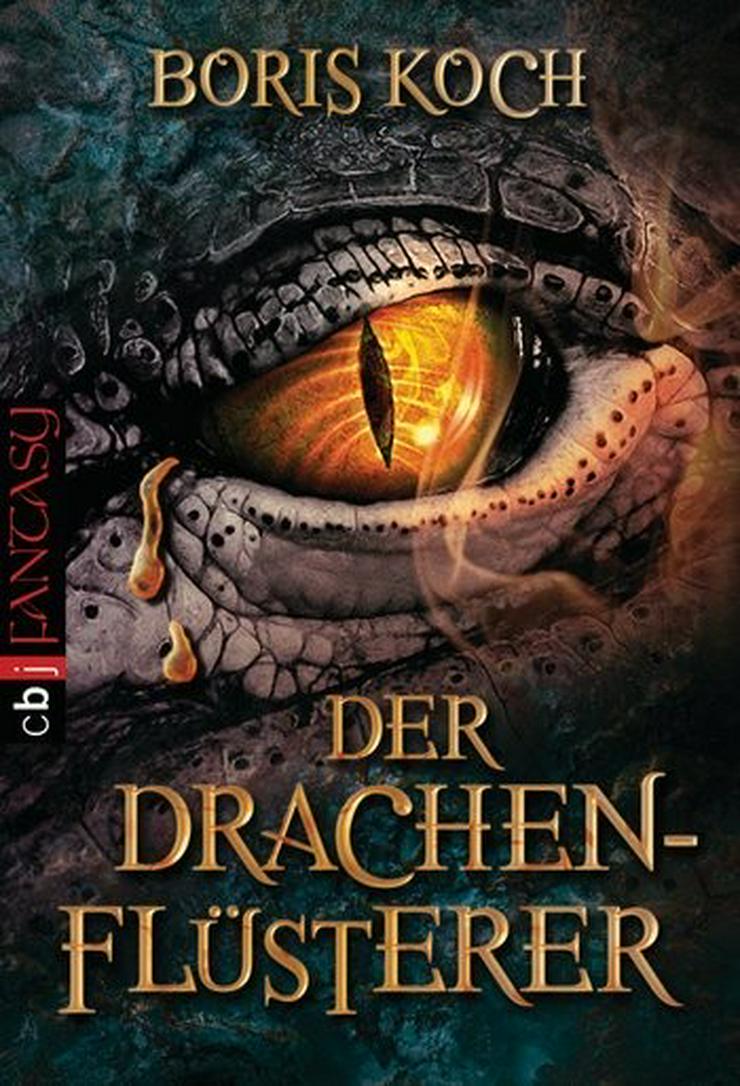 Boris Koch Der Drachenflüsterer - Romane, Biografien, Sagen usw. - Bild 3