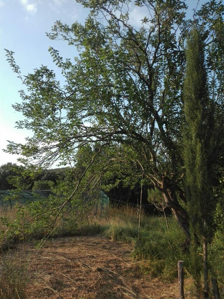 Bild 14: Grundstück Rovinj mit Öko Holzhaus zu verkaufen