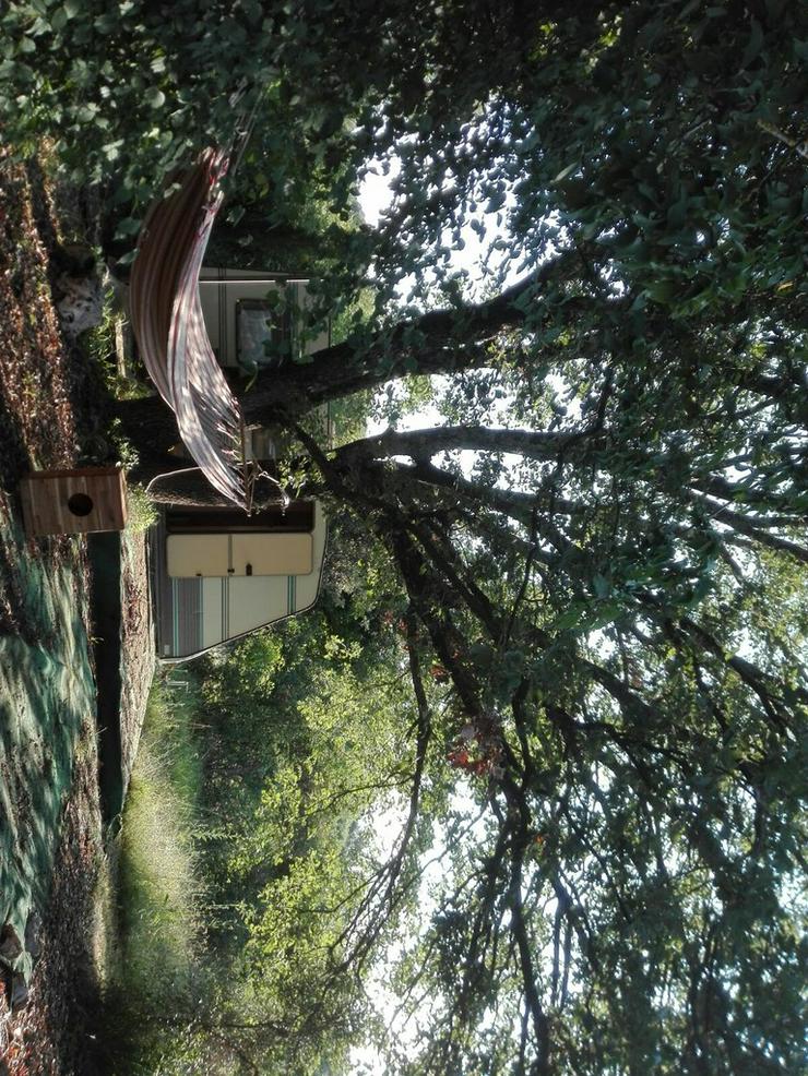 Bild 8: Grundstück Rovinj mit Öko Holzhaus zu verkaufen