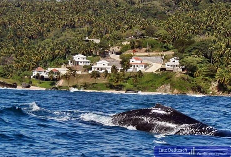 Traum-Villa als Neubau direkt am Meer - Haus kaufen - Bild 7