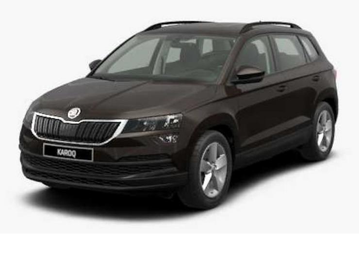 Bild 8: SKODA Karoq 1.0 TSI Style NAVI LED CLIMATRONIC DAB SH