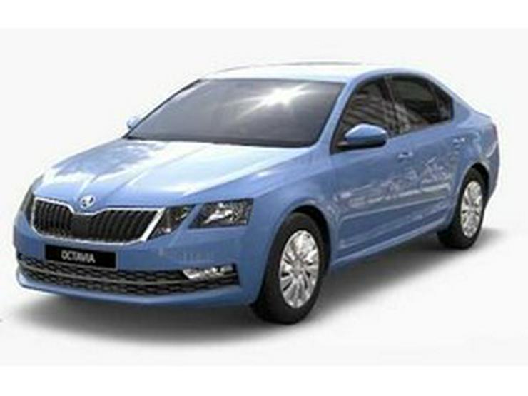 Bild 9: SKODA Octavia 1.0 TSI Active Plus KLIMA ZV SWING PDC