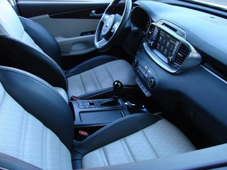 KIA Sorento Platinum Edition 4WD Xenon Navi Leder Pano 360°Kamera AHK - Sorento - Bild 10