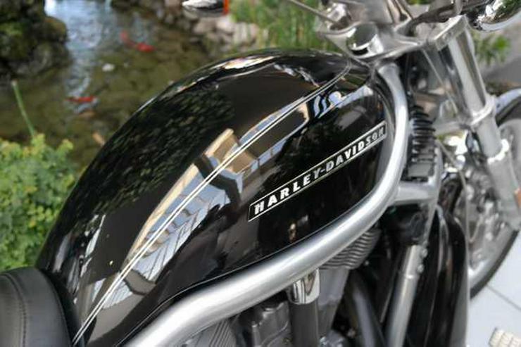 HARLEY DAVIDSON V-Rod VRSCAW 1250 - Harley Davidson - Bild 5