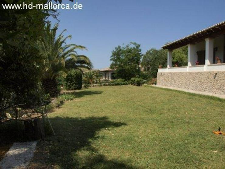 Bild 6: : Schöne Villa in Valldemossa mit fantastischem Ausblick auf das Gebirge Sierra de Tramun...