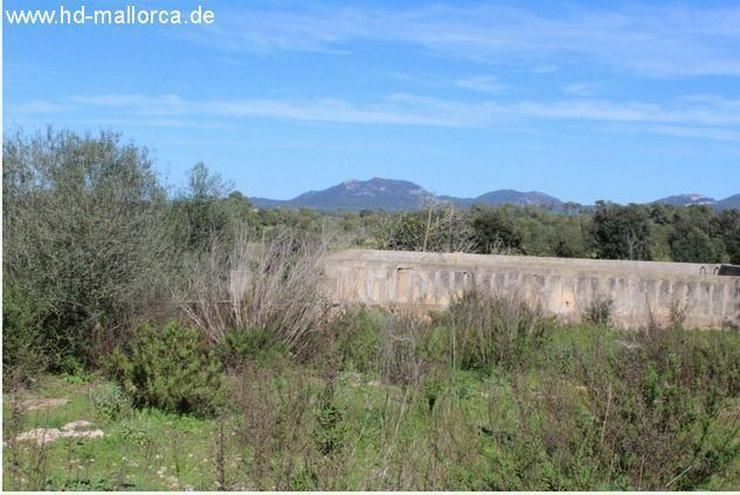 Bild 8: : (Bau)-Grundstück in Cas Concos