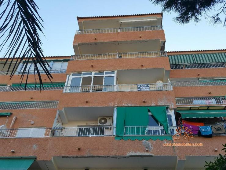 Apartment mit 1 Schlafzimmer in Pinomar-Guardamar/Alicante - Wohnung kaufen - Bild 14