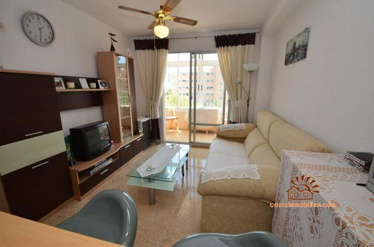 Bild 9: Apartment mit 1 Schlafzimmer in Pinomar-Guardamar/Alicante