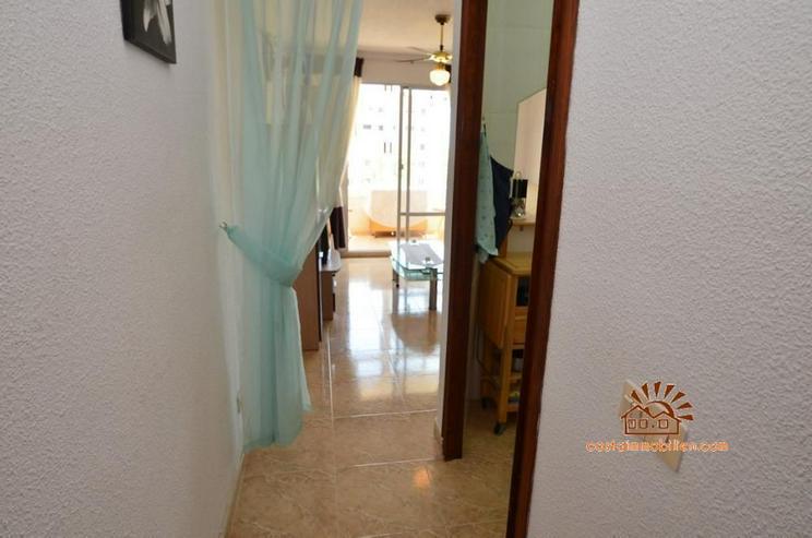 Apartment mit 1 Schlafzimmer in Pinomar-Guardamar/Alicante - Wohnung kaufen - Bild 17