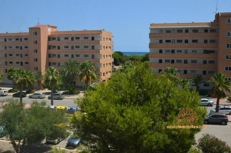 Apartment mit 1 Schlafzimmer in Pinomar-Guardamar/Alicante - Wohnung kaufen - Bild 13