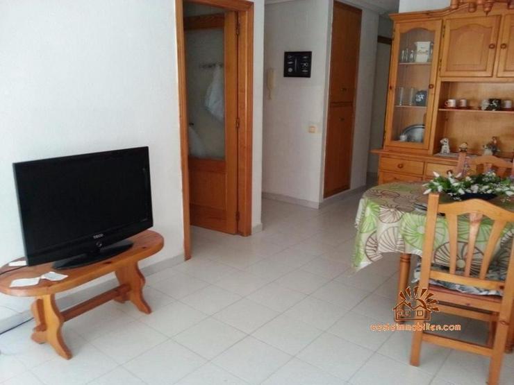 Bild 3: 200 Meter zum Strand 3 Zimmer Wohnung in La Mata - Torrevieja/Alicante