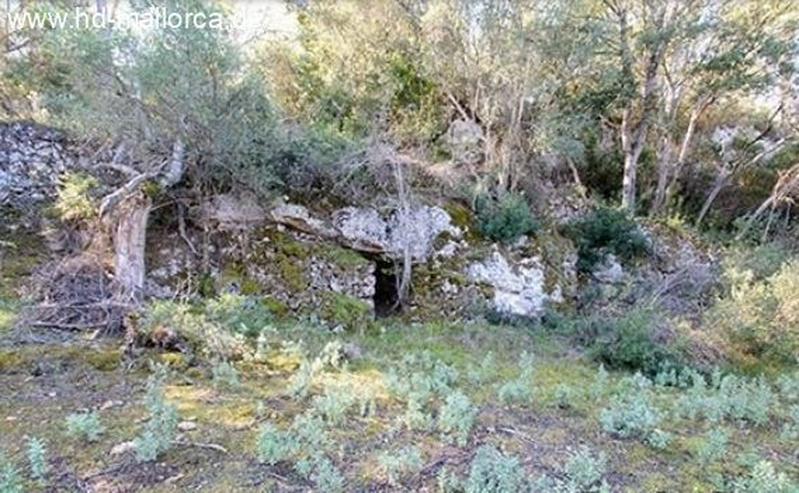 Bild 13: : Einsames Landhaus in traumhafter Lage von Algaida
