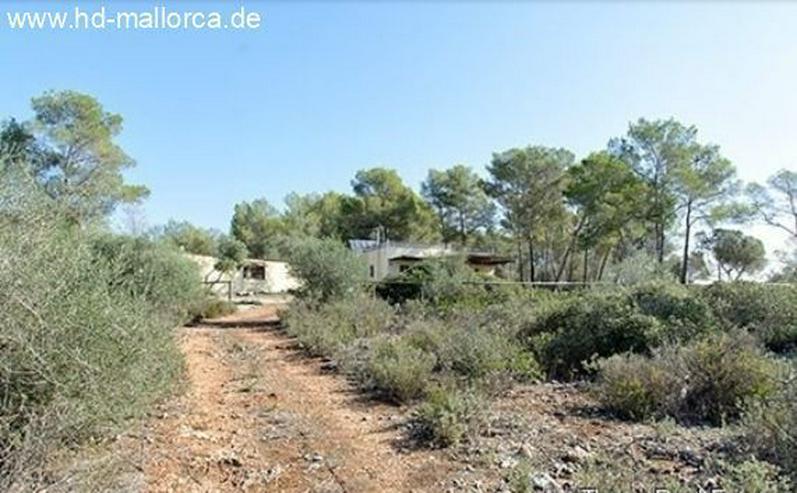 Bild 14: : Einsames Landhaus in traumhafter Lage von Algaida