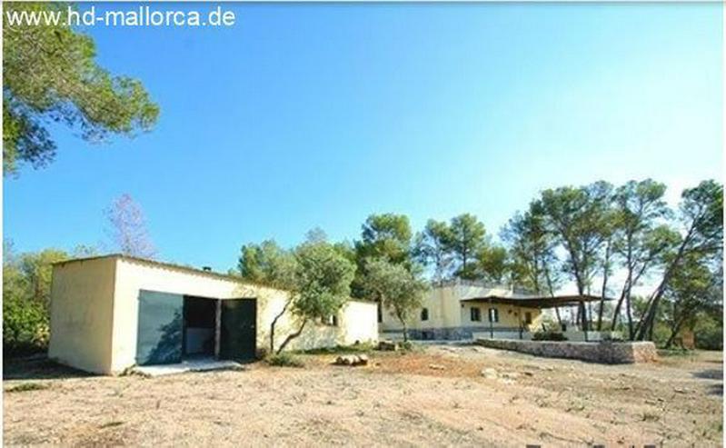 Bild 8: : Einsames Landhaus in traumhafter Lage von Algaida