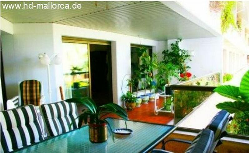 Bild 8: : herrliche Wohnung mit Blick auf Pool und Garten in hervorragender Lage in Palma