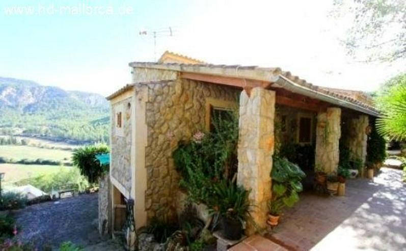 : Renovierungsbedürftiges Landhaus mit atemberaubenden Blick auf die Berge in Puigpunyent - Haus kaufen - Bild 8
