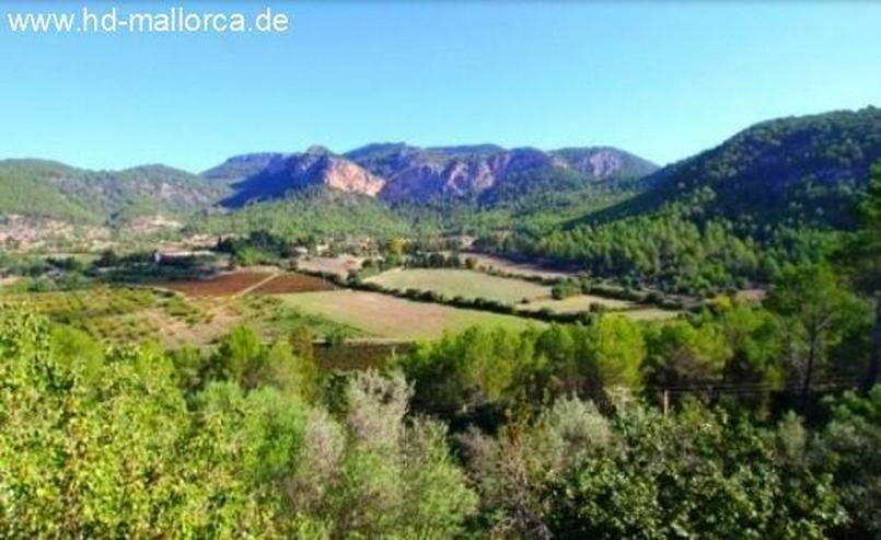 Bild 7: : Renovierungsbedürftiges Landhaus mit atemberaubenden Blick auf die Berge in Puigpunyent