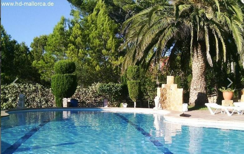Bild 3: : große Mediterrane Villa in Santa Ponsa in nur 500m vom Strand entfernt