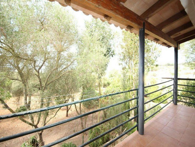 Bild 15: : preiswerte Finca in Manacor zu verkaufen