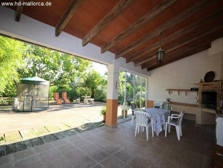 Bild 13: : idyllisches Landhaus mit herrlichem Garten in Manacor