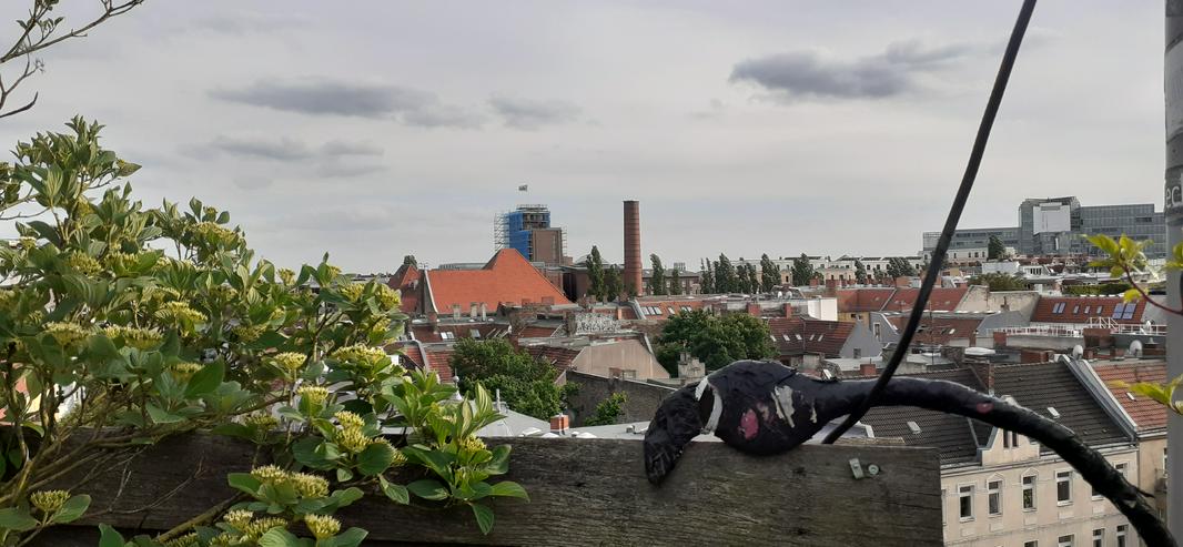 Führung Schillerkiez u. Rollberg Neukölln mit Reinhold Steinle