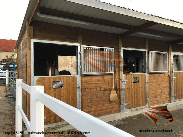 Pferdestall bauen - Außenboxen & Pferdebox, Offenstall kaufen | Weidehütten und Futterraufe - Heuraufe für Pferde | Fertigbau - Stallanlagen TOP Außenstall - Einstellplätze - Bild 1