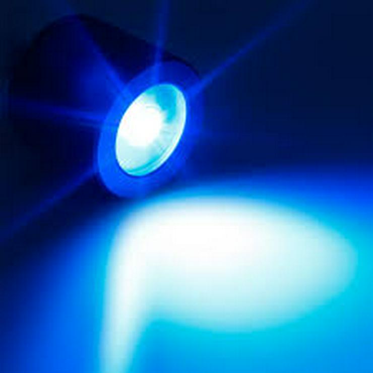 Bild 3: Led Blau MatrixSea Nemo Power Ball - 100 Watt 