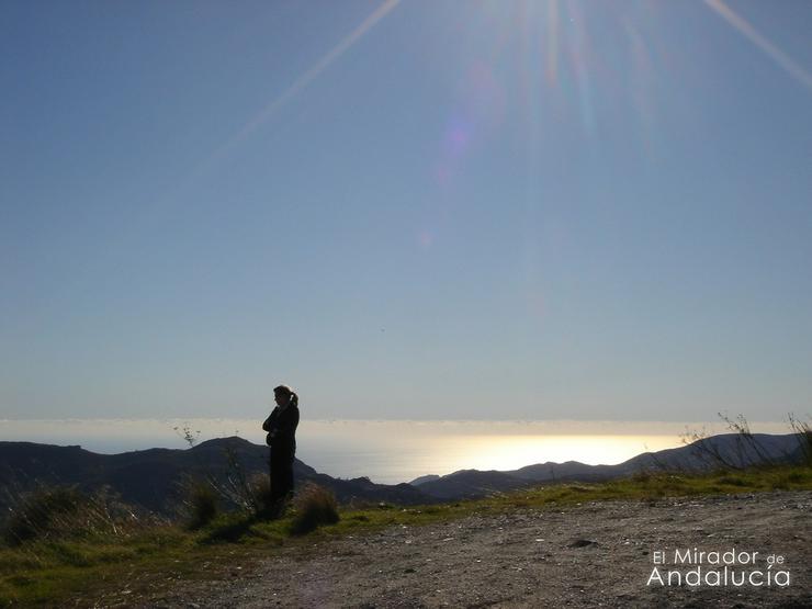 Schöne, hohe, strategische und ländliche Lage "El Mirador De Andalucia" - Grundstück kaufen - Bild 8