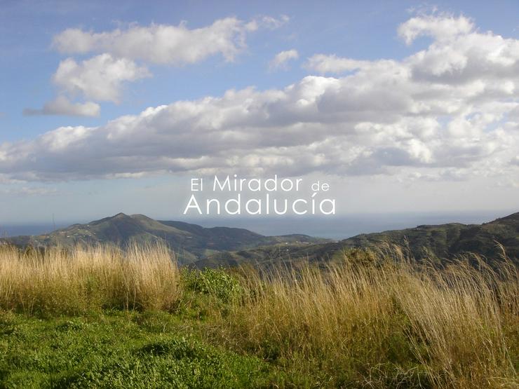 Schöne, hohe, strategische und ländliche Lage "El Mirador De Andalucia" - Grundstück kaufen - Bild 1