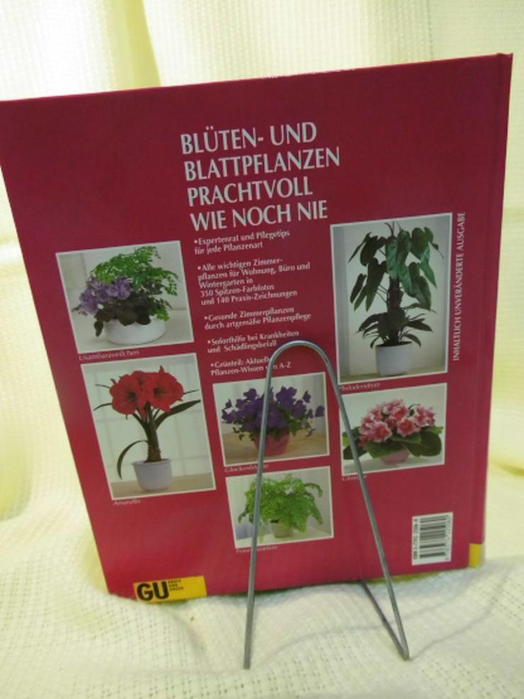 Bild 3: Zimmerpflanzen, Halina Heitz / Gräfe und Unzer Verlag / Pflanzen - Ratgeber Buch