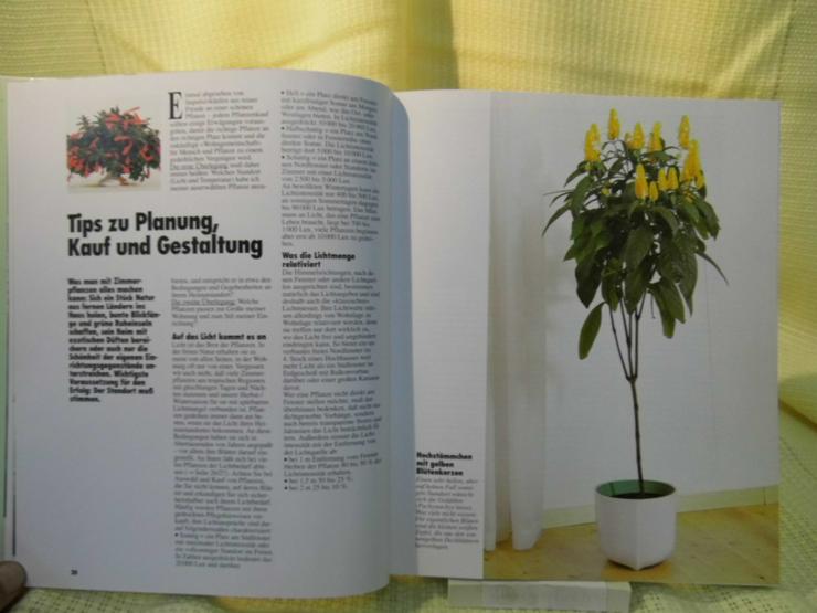 Zimmerpflanzen, Halina Heitz / Gräfe und Unzer Verlag / Pflanzen - Ratgeber Buch - Weitere - Bild 8