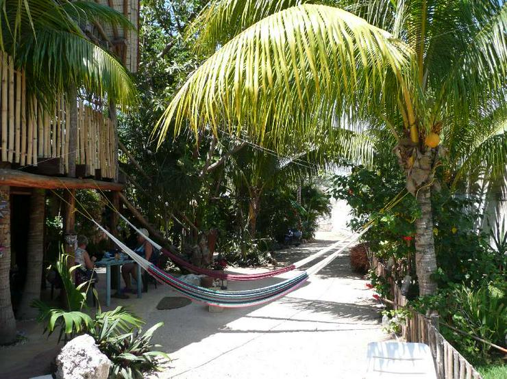 Bild 2: Haus in Mexiko/Pl. d. Carmen/Yucatanhalbinsel