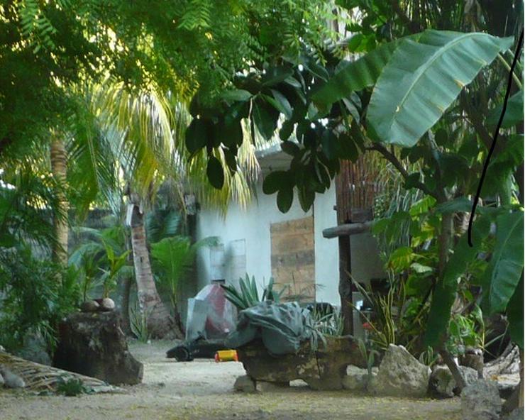 55qm Appartement in Mexiko mit Gartenanteil, 1200m zum Meer, Wasser Ganzjährig 27Grad  - Haus kaufen - Bild 2