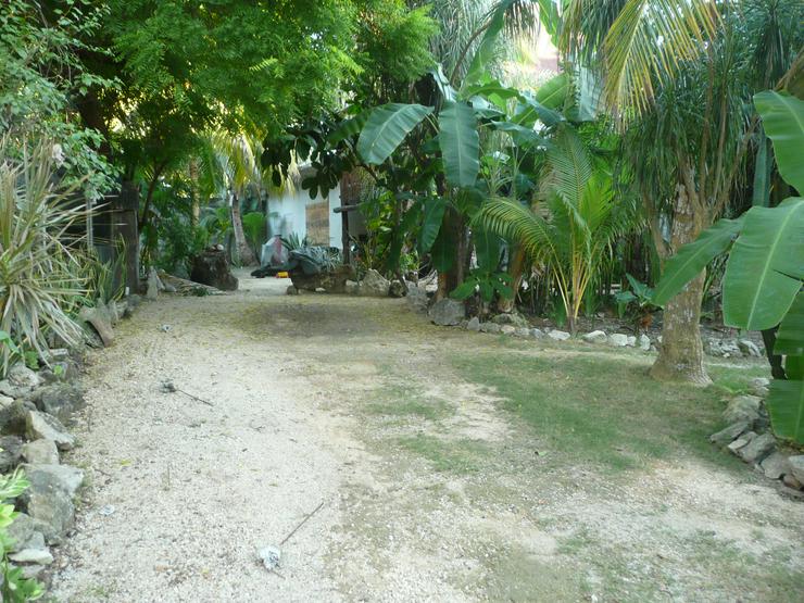55qm Appartement in Mexiko mit Gartenanteil, 1200m zum Meer, Wasser Ganzjährig 27Grad  - Haus kaufen - Bild 3