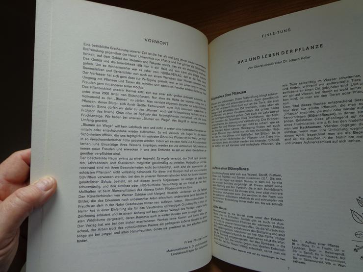 Sammelbilder mit Album: "Blumen am Wege", HERBA-Verlag, Neuzustand - Aufkleber, Schilder & Sammelbilder - Bild 6