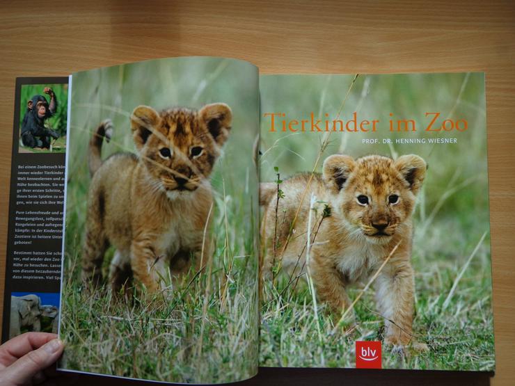 Bild 4: Großbildband "Tierkinder im Zoo", von Prof. Dr. Henning Wiesner, BLV-Verlag, NEU