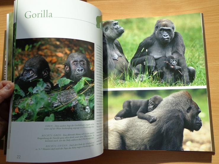 Bild 6: Großbildband "Tierkinder im Zoo", von Prof. Dr. Henning Wiesner, BLV-Verlag, NEU