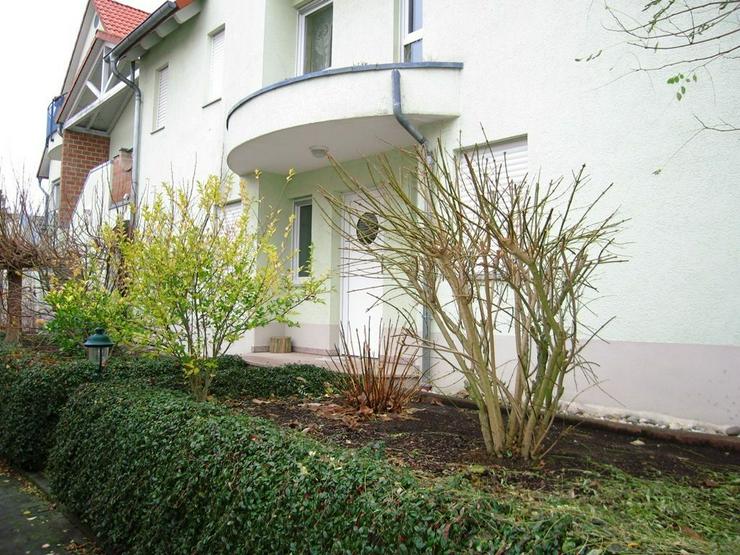   4-Zimmer-Terrassenwohnung in Dexheim in ruhiger Lage   