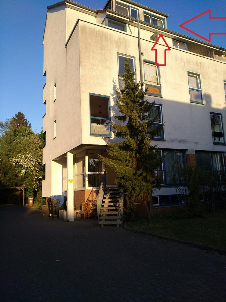 1 Zi Wohnung 30419  Hannover Nord