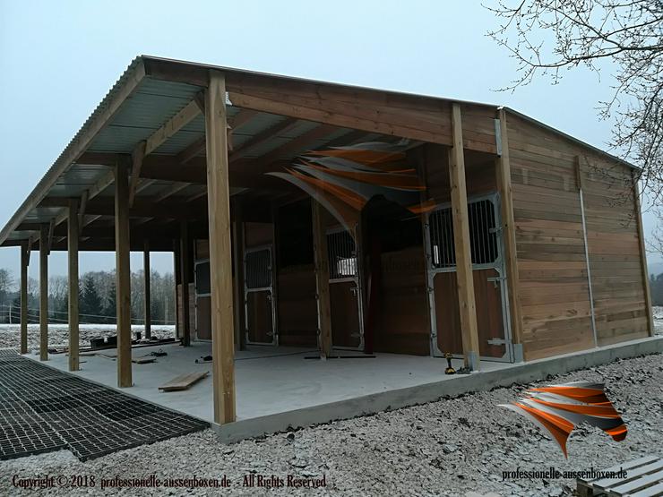 Bild 14: HOLZ Außenboxen für Pferde, Pferdeställe, Pferdeboxen, Weidehütte mit Fressgitter, Offenstall, Unterstand