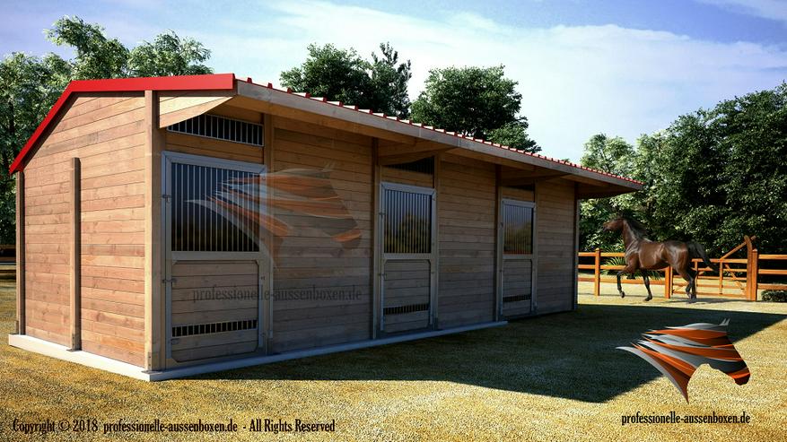 Bild 8: HOLZ Außenboxen für Pferde, Pferdeställe, Pferdeboxen, Weidehütte mit Fressgitter, Offenstall, Unterstand