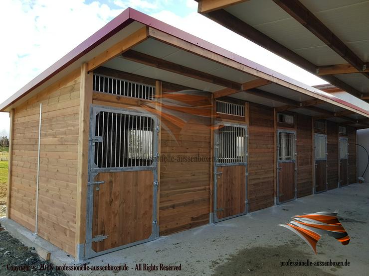 Bild 10: HOLZ Außenboxen für Pferde, Pferdeställe, Pferdeboxen, Weidehütte mit Fressgitter, Offenstall, Unterstand