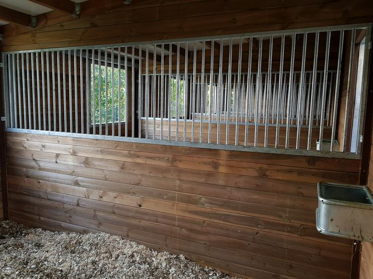 Bild 2: HOLZ Außenboxen für Pferde, Pferdeställe, Pferdeboxen, Weidehütte mit Fressgitter, Offenstall, Unterstand