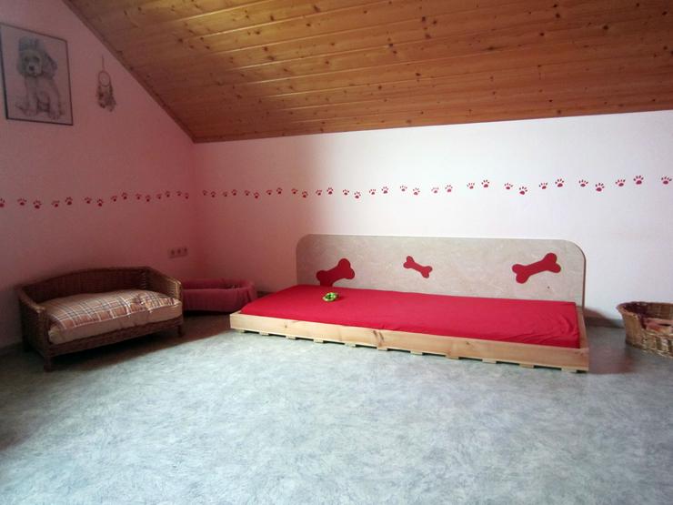 Bild 5: Tierpension MOPPi`s DOGhome