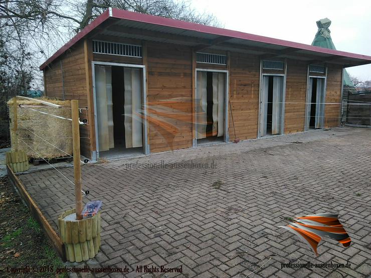 Bild 8: Pferdestall bauen - Außenstall, Pferdebox & Offenstall kaufen | Fertigbau - Stallanlagen, Weidehütten, Futterraufe - Heuraufe für Pferde