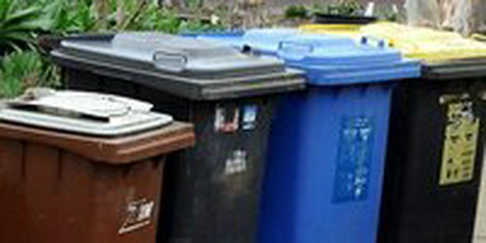 Bild 1: Mülltonnenservice - Immer Ärger mit dem Rausstellen ?