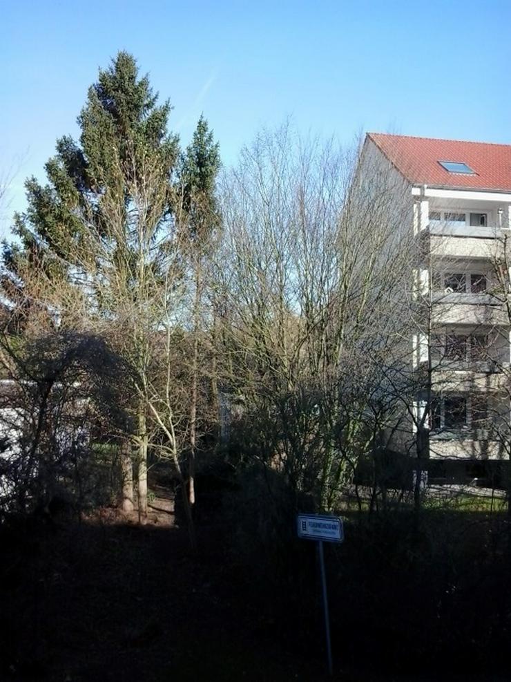 Bild 11: 1 Zi Wohnung  Hannover Herrenhausen