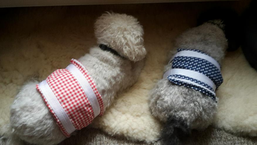 Körnerkissen für Hunde,handgenäht - Körbe, Betten & Decken - Bild 4