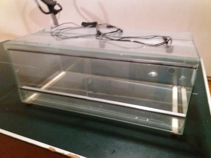 Terrarium 100 x 50 x 40 (Selbstabholer) - Terrarien & Becken - Bild 3